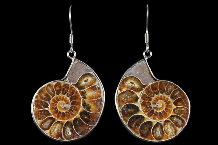 Fossil Ammonite Earrings - Million Years Old #112217